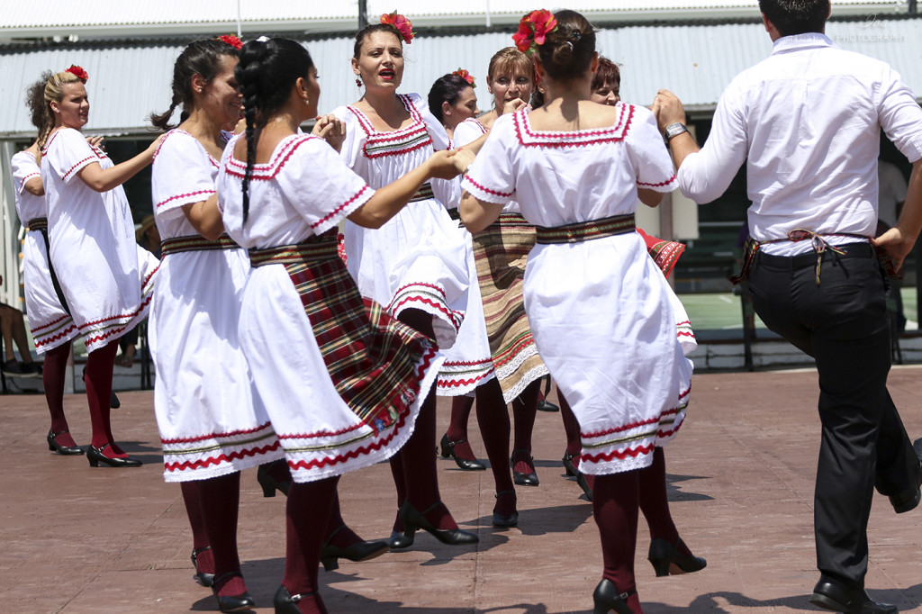 IMG 6882 1024x682